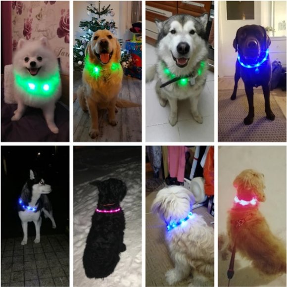 Superior LED Light Safety Collar. USB Recharge, no battery needed. - Picture 1 of 6